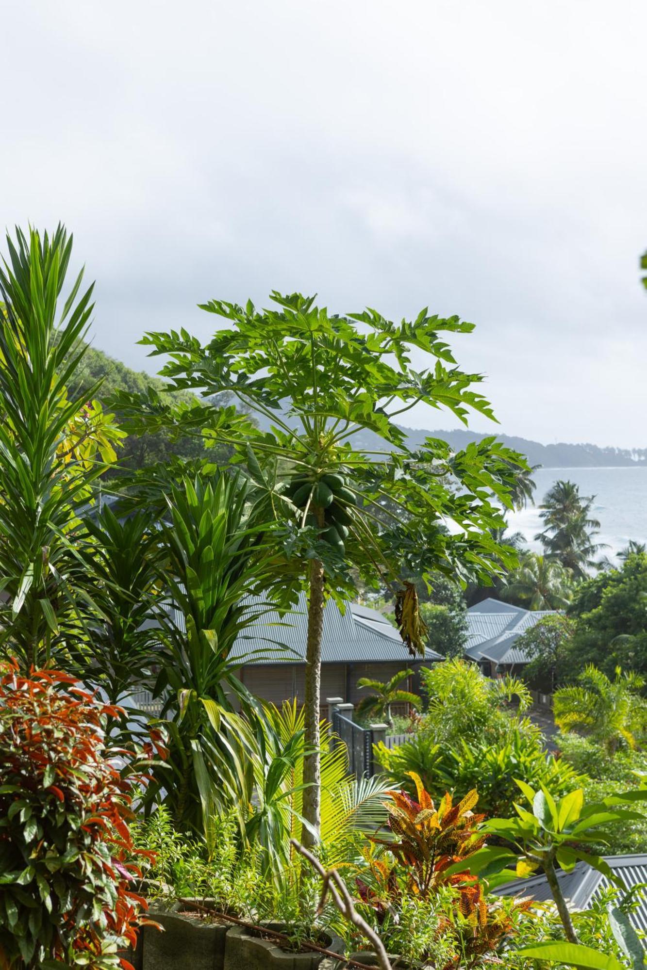 Paradise Chalets Yoga & Wellness Takamaka Luaran gambar