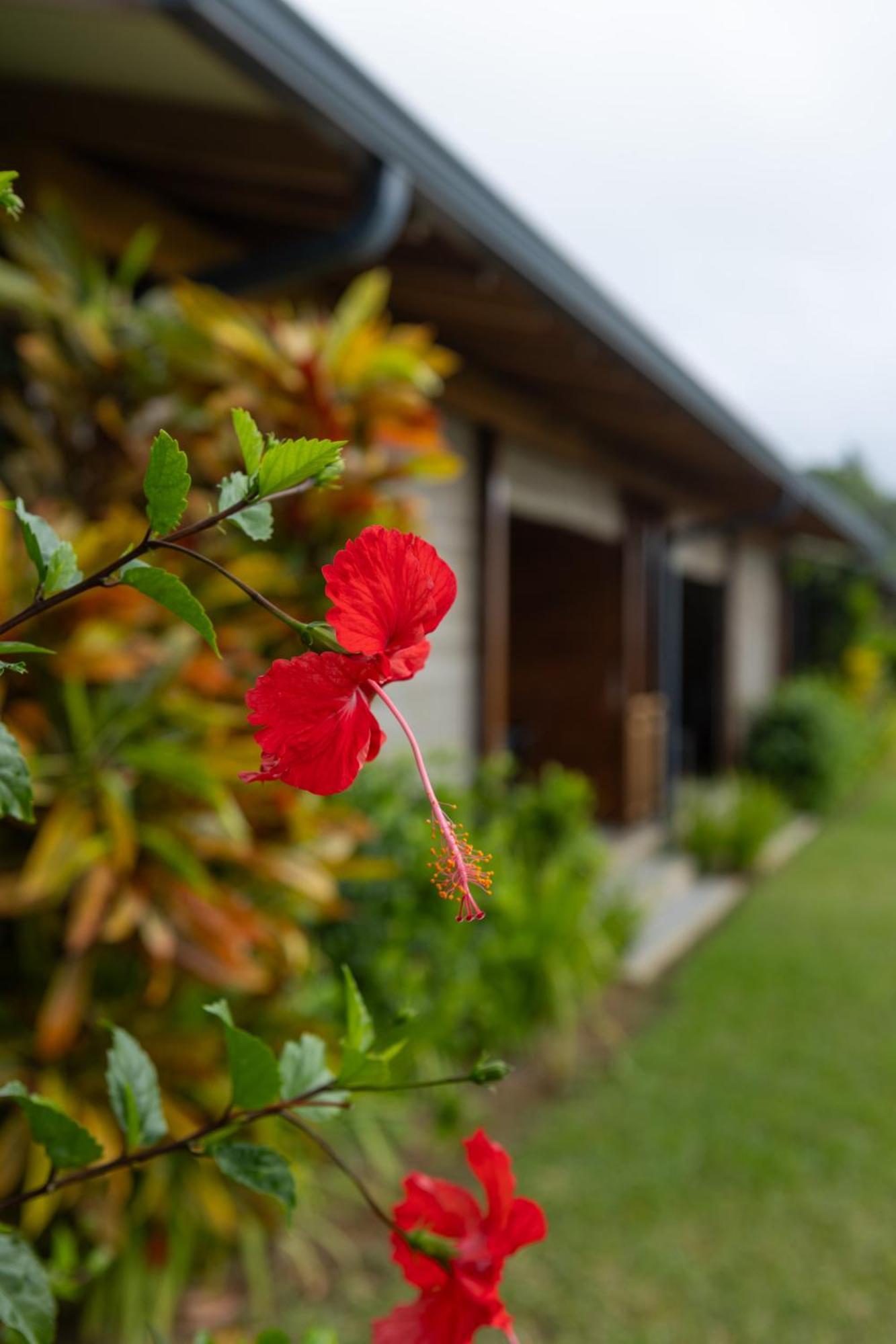 Paradise Chalets Yoga & Wellness Takamaka Luaran gambar