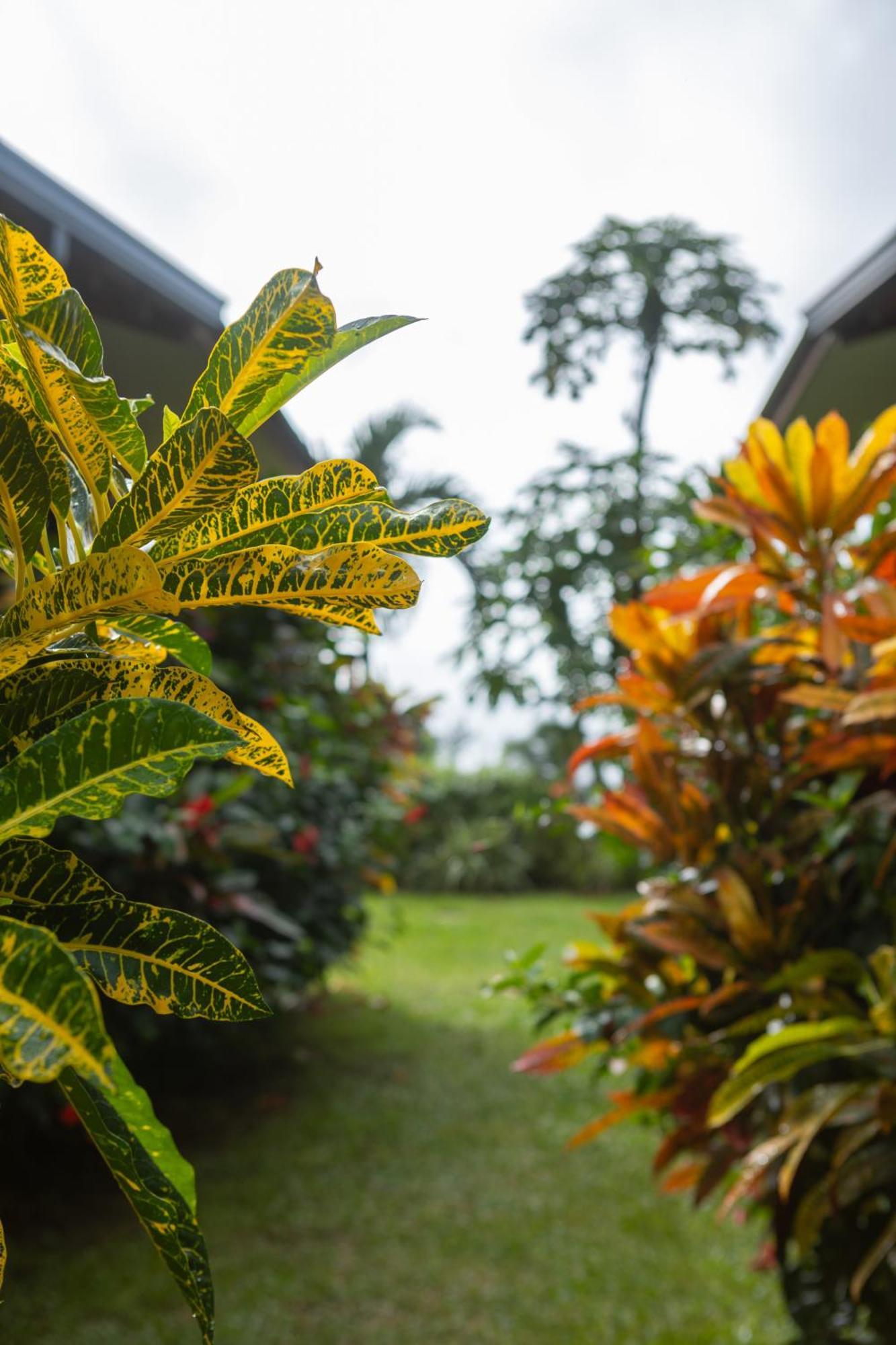 Paradise Chalets Yoga & Wellness Takamaka Luaran gambar